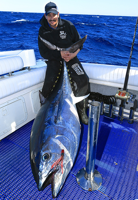 ANGLER: Daniel Ortisi SPECIES: Southern Bluefin Tuna  WEIGHT: 144kg LURE: 6.5" Dreamcatcher.